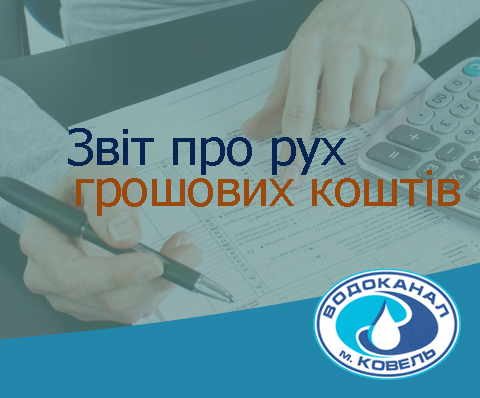звіт про рух грошових коштів